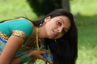 Manjulika Hot Stills